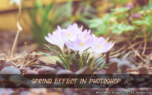 Экшен для фотошоп - Весенний фотоэффект | Action for Photoshop - Spring photoelectric effect