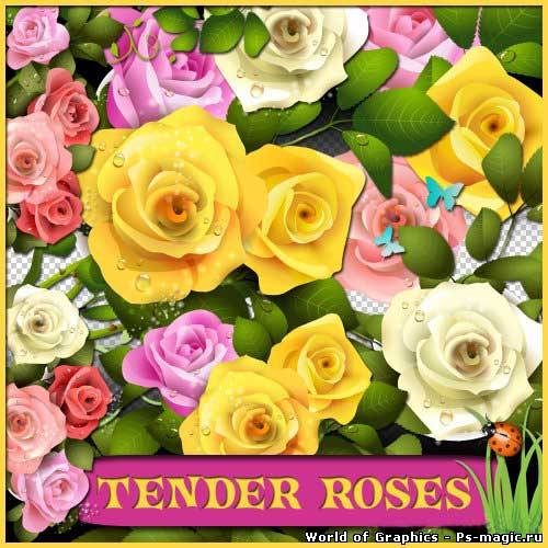 Цветочный скрап-набор - Нежные розы